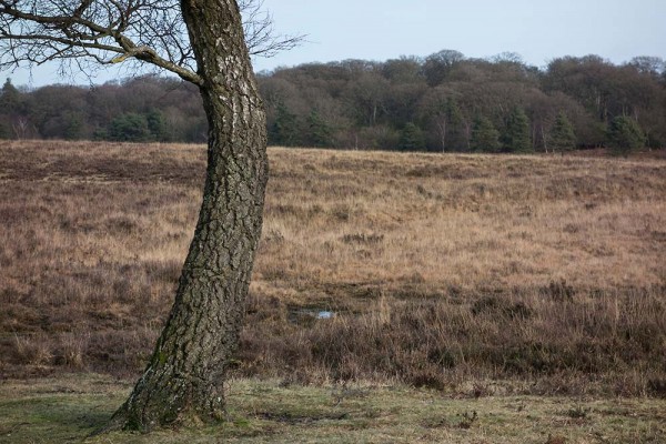 julian, konczak, photography, video, new, forest, a trip out