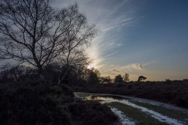 julian, konczak, photography, video, new, forest, a trip out