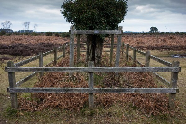 julian, konczak, photography, video, new, forest, a trip out, in search of a vista, naked man