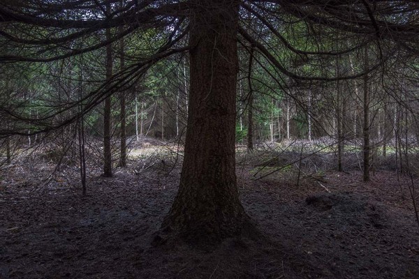 julian, konczak, photography, video, new, forest, a trip out, in search of a vista, naked man