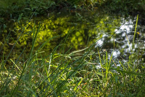 julian, konczak, photography, video, new, forest, a trip out