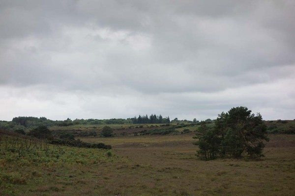 julian, konczak, photography, video, new, forest, a trip out In Search of a Vista – Over Goatspen Plain