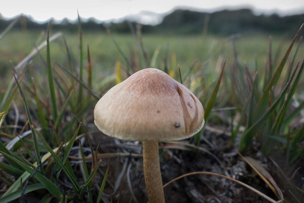 julian, konczak, photography, video, new, forest, a trip out, stoney cross