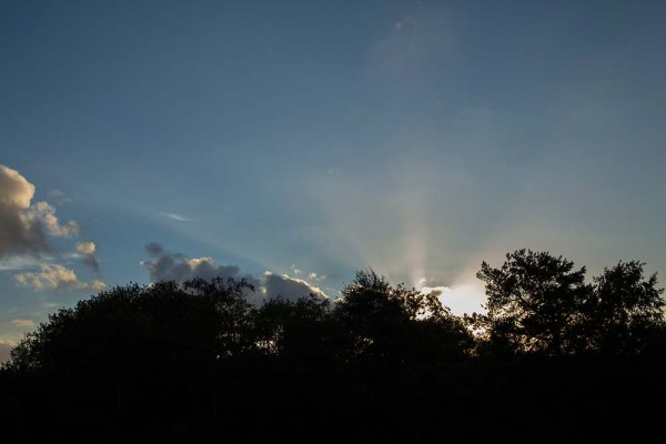 julian, konczak, photography, video, new, forest, a trip out, stoney cross