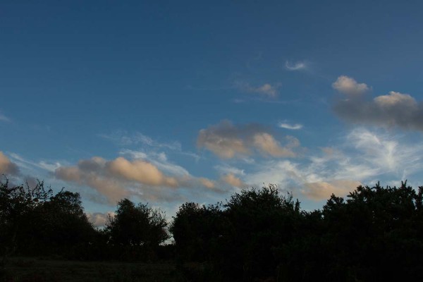 julian, konczak, photography, video, new, forest, a trip out, stoney cross