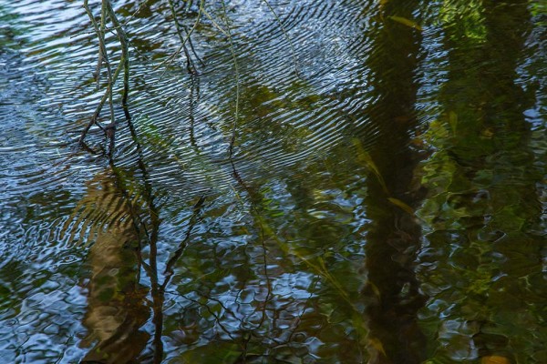 julian, konczak, photography, dockens water, forest trip out, new forest