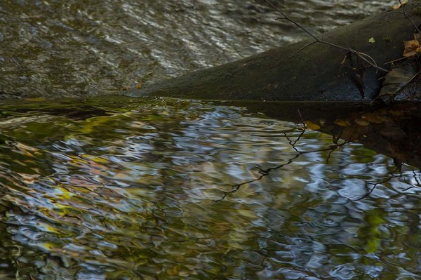 julian, konczak, photography, dockens water, forest trip out, new forest