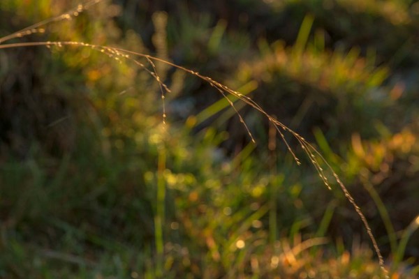 julian, konczak, photography, dockens water, forest trip out, new forest,wick wood, acres down, autumn, lyndhurst