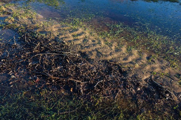 latchmere brook, julian, konczak, photography, dockens water, forest trip out, new forest, in search of a vista, winter