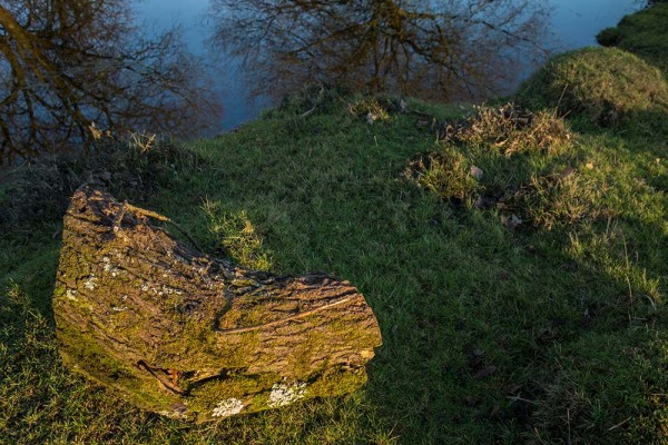 latchmere brook, julian, konczak, photography, dockens water, forest trip out, new forest, in search of a vista, winter