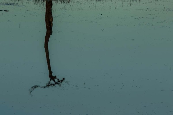 latchmere brook, julian, konczak, photography, dockens water, forest trip out, new forest, in search of a vista, winter