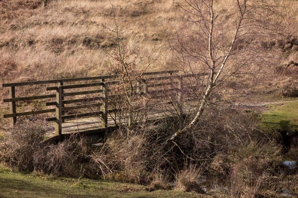 picket post, julian, konczak, photography, forest trip out, new forest, in search of a vista, winter