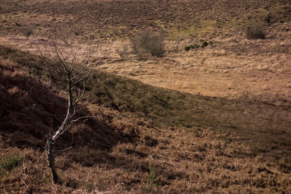 picket post, julian, konczak, photography, forest trip out, new forest, in search of a vista, winter